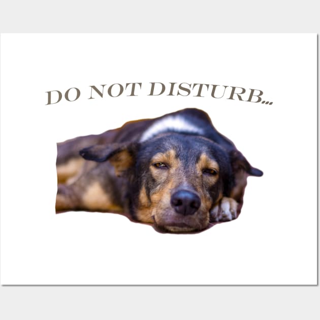cool and funny dog Wall Art by rickylabellevie